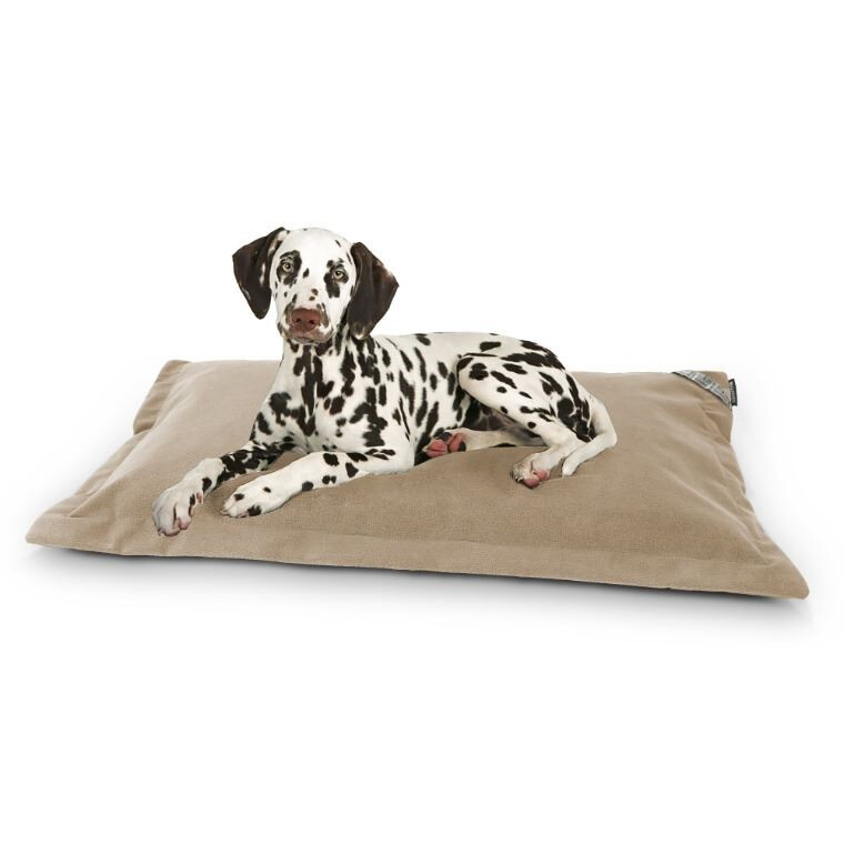 Mueble cama para perro - Divine Chien